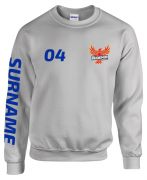 Phoenix Handball Sweatshirt6